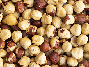 Avellana europea granel