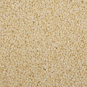 Sésamo blanco granel