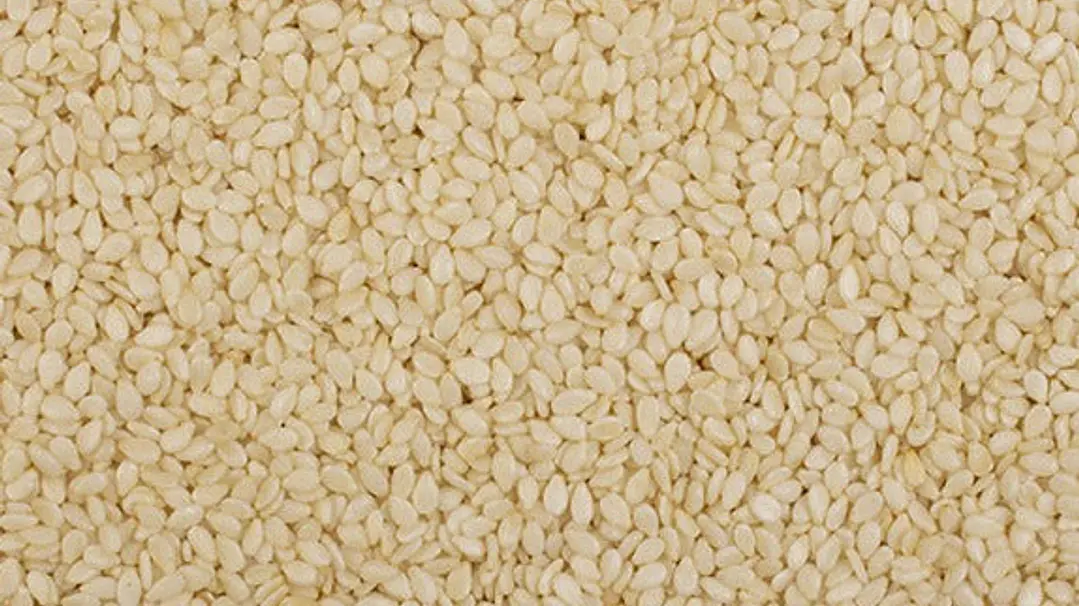 Sésamo blanco granel 1