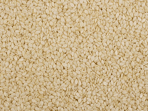 Sésamo blanco granel