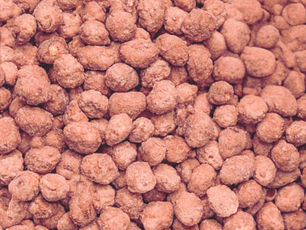 Maní confitado 3 leches granel