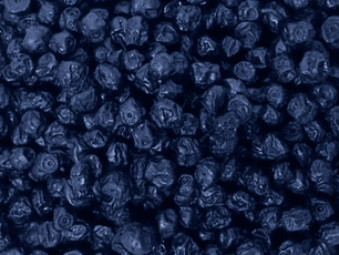 Arándano deshidratado granel