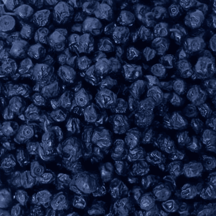 Arándano deshidratado granel 1