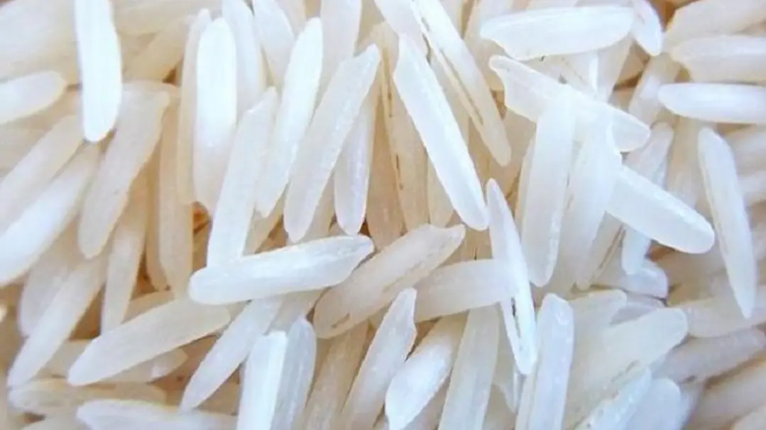 Arroz basmati granel 1