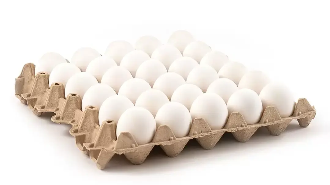 Bandeja de huevos extra blanco 30un 1