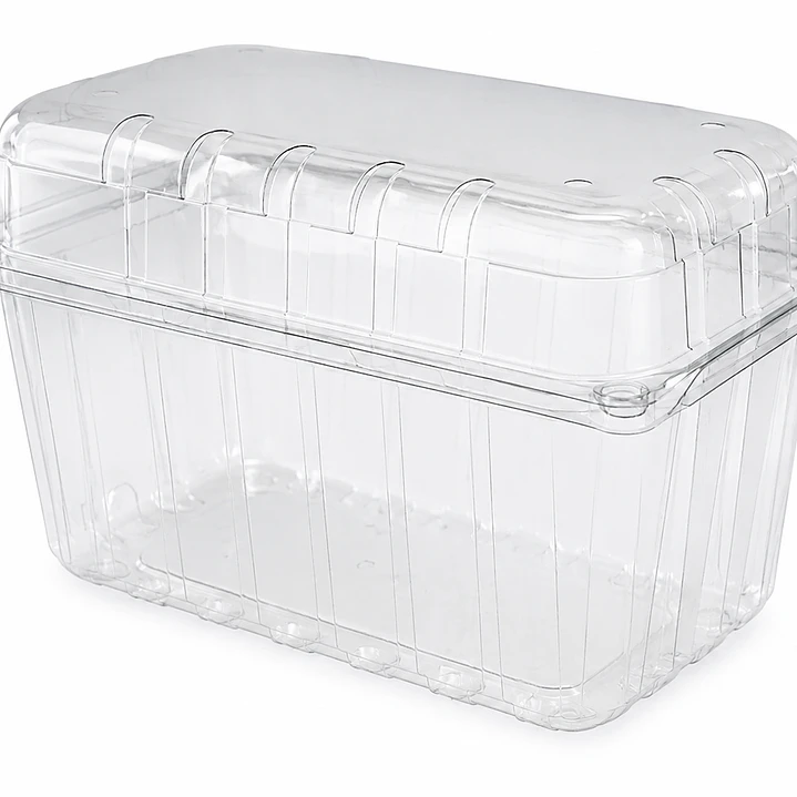 Clamshell PET 1 kg Transparente 1