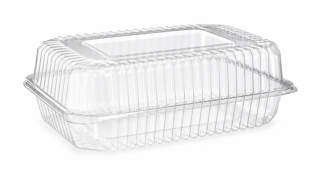 Envase Multiuso Rectangular PET 217×147 × 68 mm 1