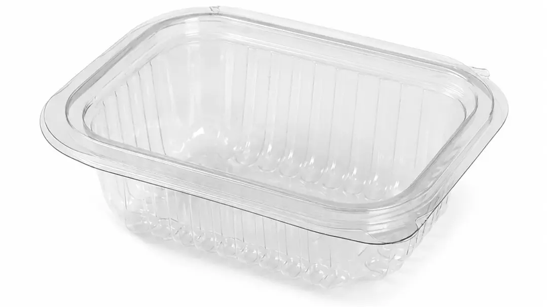 Envase Rectangular PET con Bisagra Transparente 1