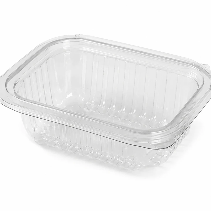 Envase Rectangular PET con Bisagra Transparente 1