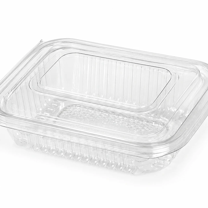Envase Rectangular PET con Bisagra Transparente 2
