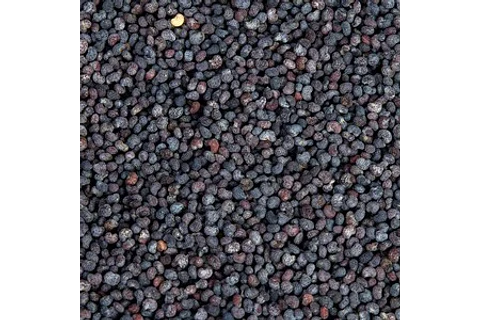 Amapola