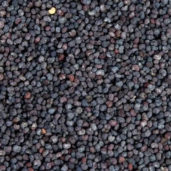 Amapola 1