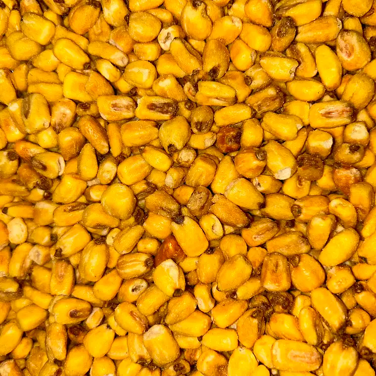 Maíz Frito 2