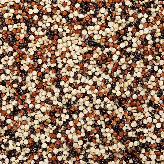 Quinoa Tricolor  2