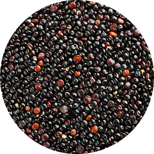 Quinoa Negra