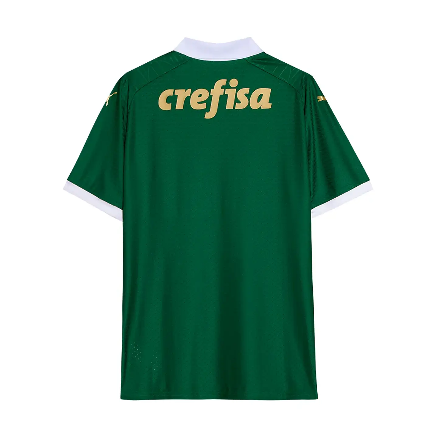 Camisola Puma Palmeiras Principal 24/25 2