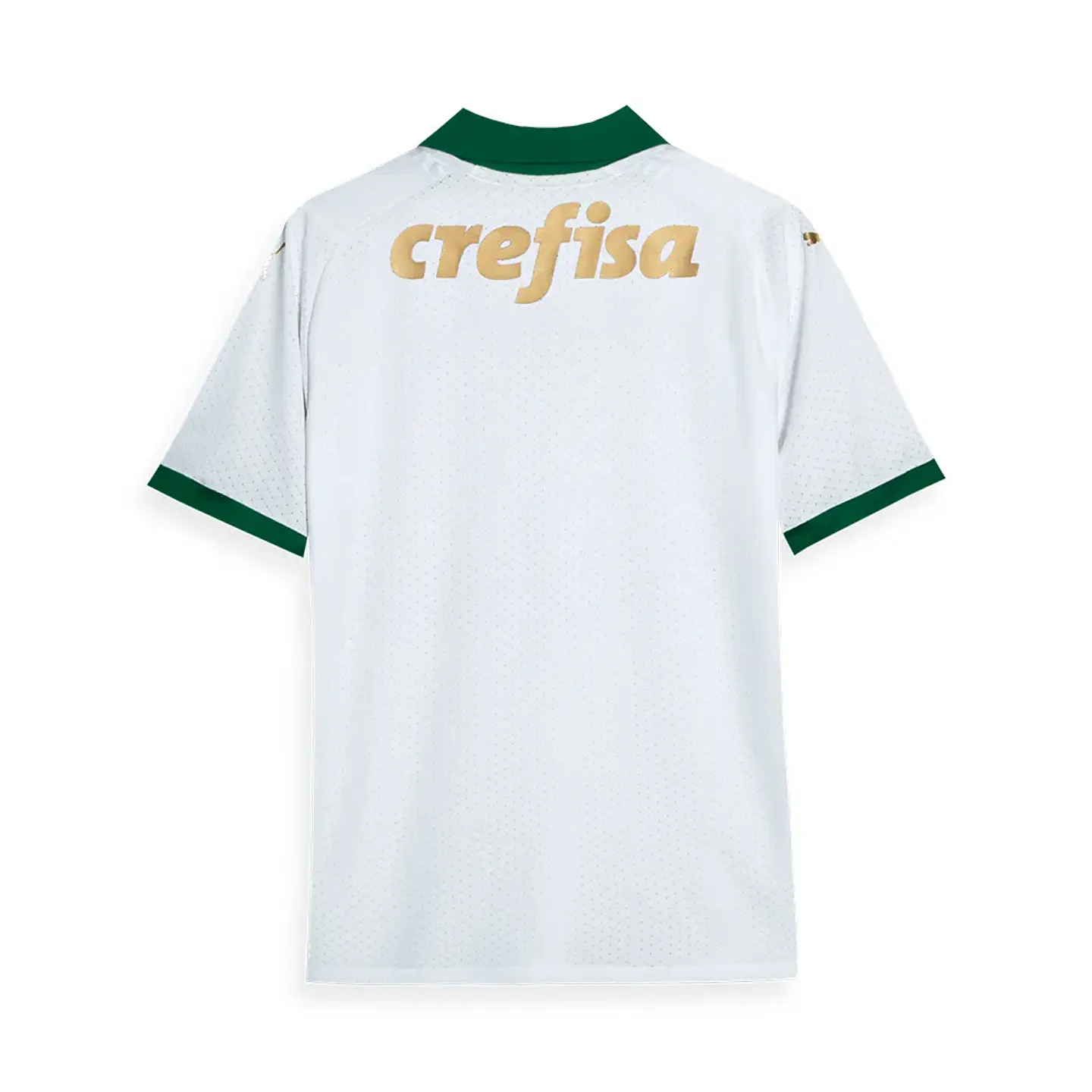 Camisola Puma Palmeiras Segundo 24/25 2