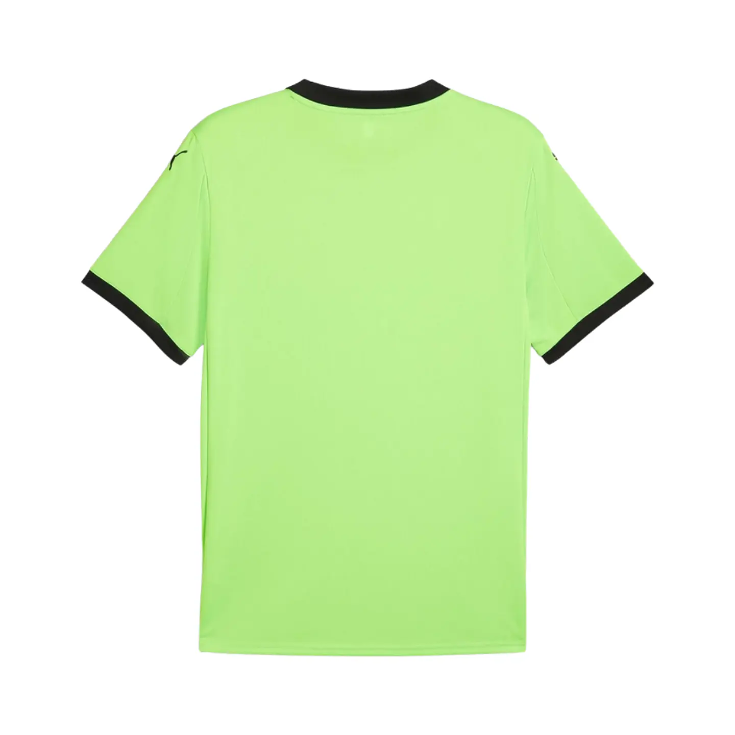 Camisola Puma Guarda-Redes Portugal 2025 Verde 2