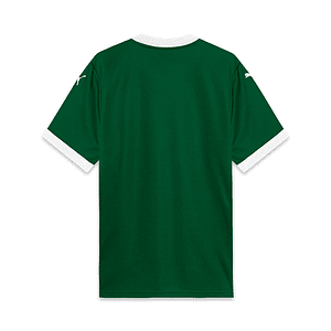 Camisola Palmeiras Principal 25/26