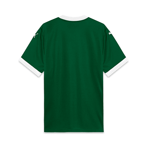 Camisola Palmeiras Principal 25/26