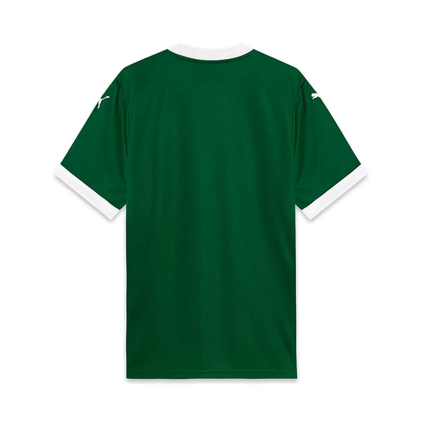Camisola Palmeiras Principal 25/26 2