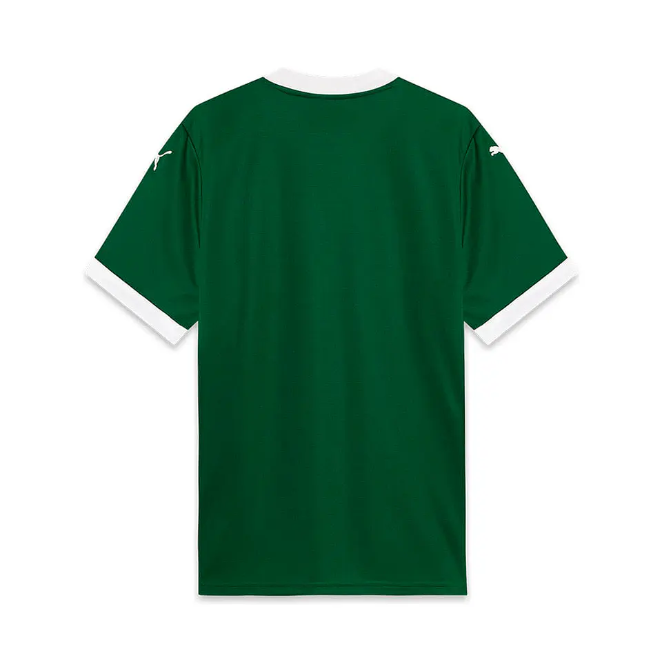 Camisola Palmeiras Principal 25/26 2