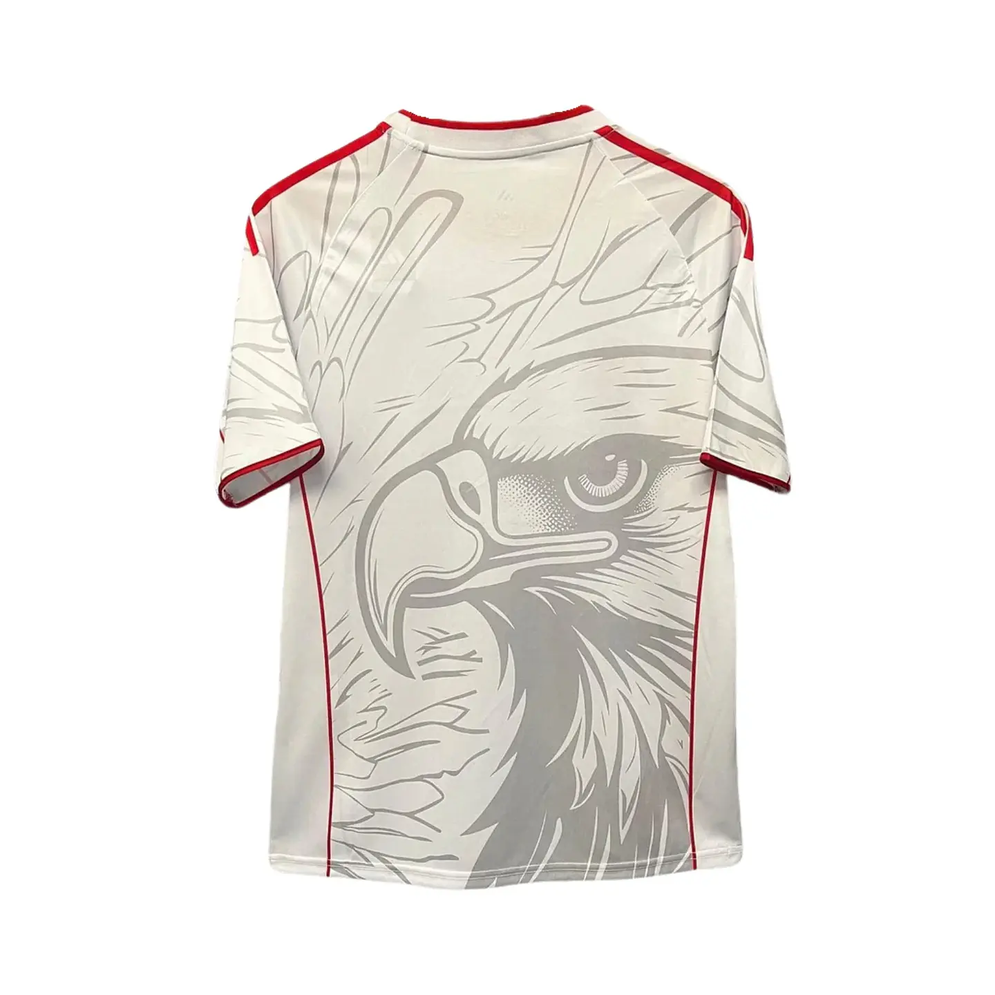 Camisola Benfica Especial 25/26 2