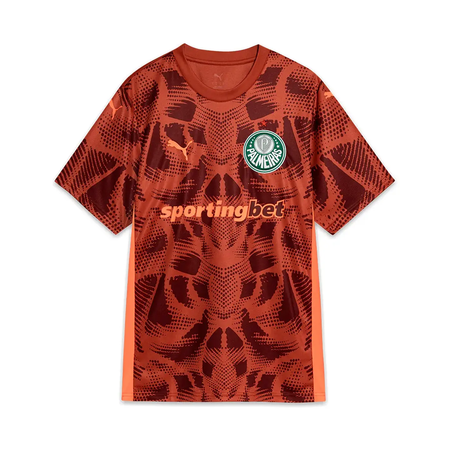 Camisola Palmeiras Guarda-Redes 25-26 1
