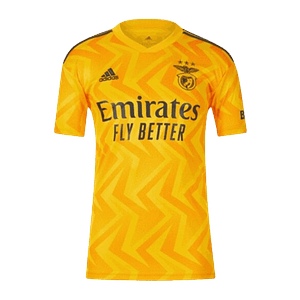 Camisola SL Benfica Alternativa 22/23