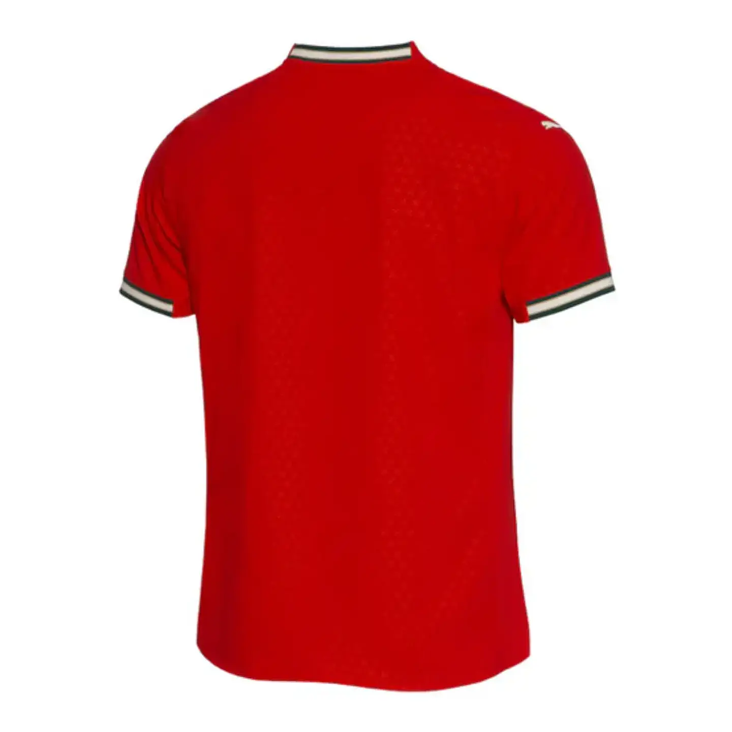 Camisola Puma Principal Portugal 2025 2