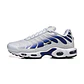 Nike Air Max Plus TN 