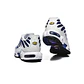 Nike Air Max Plus TN 