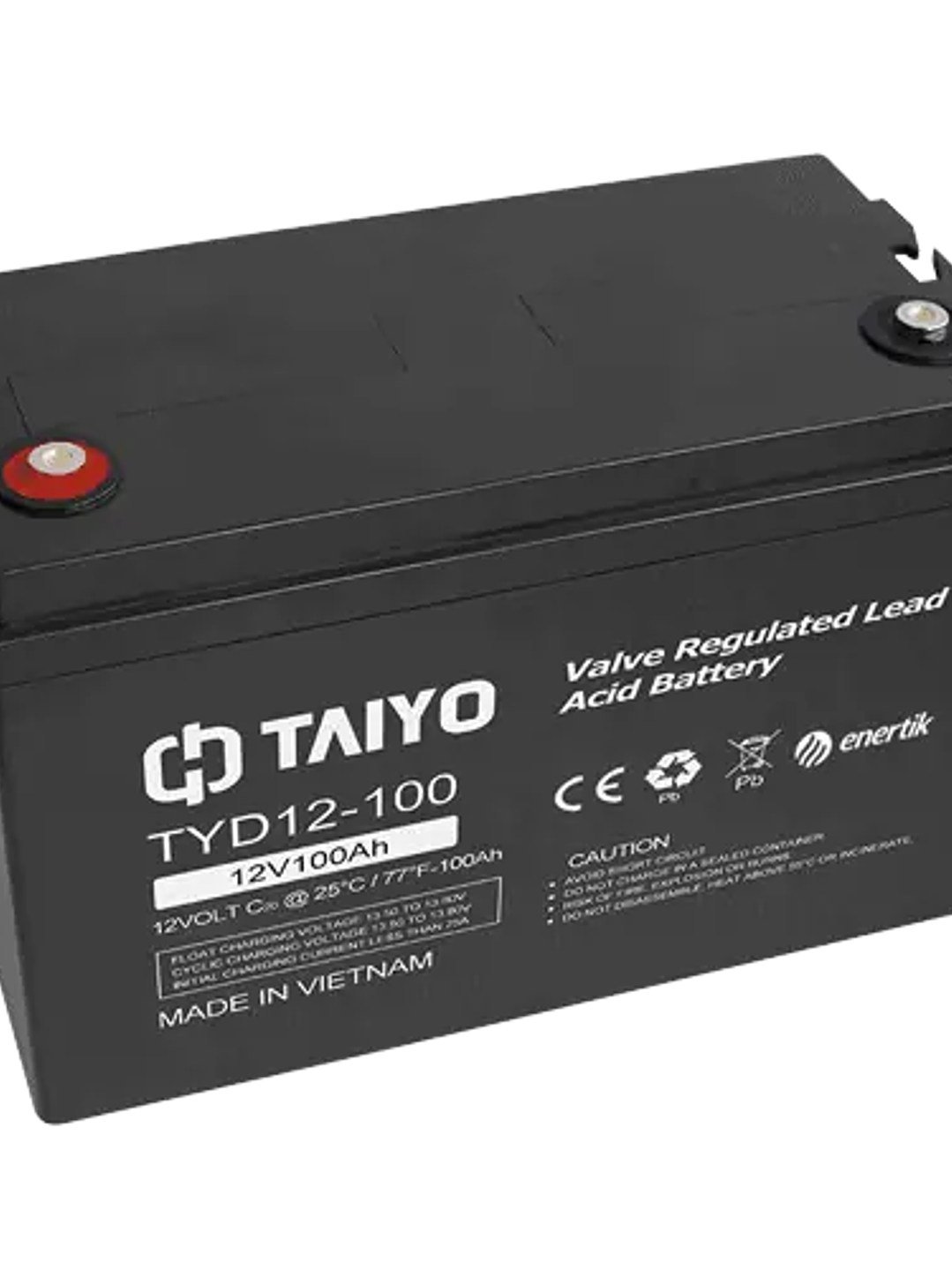 Batería de Ciclo Profundo AGM – TAIYO 12Vcc 100Ah 1