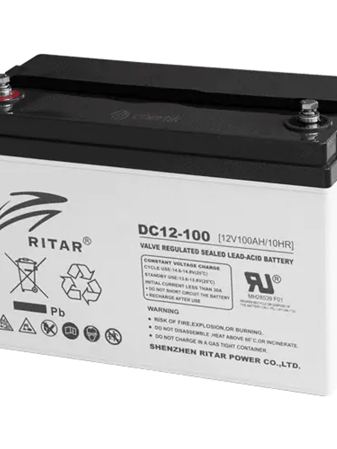 Batería de Ciclo Profundo AGM – Ritar 12V 100Ah 1
