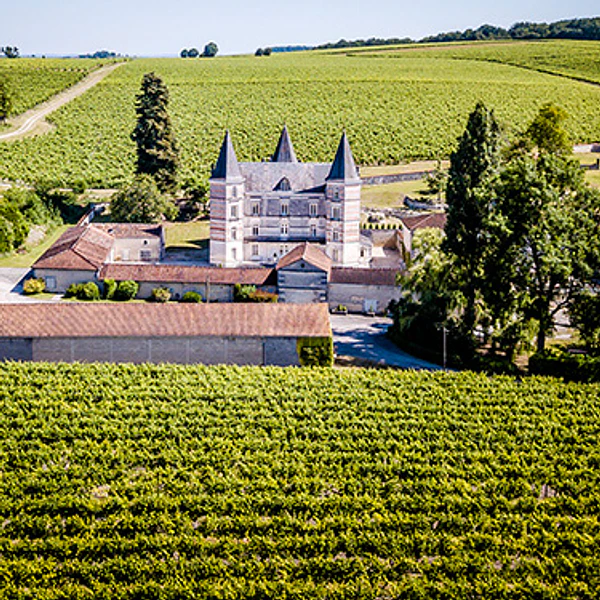 Cognac