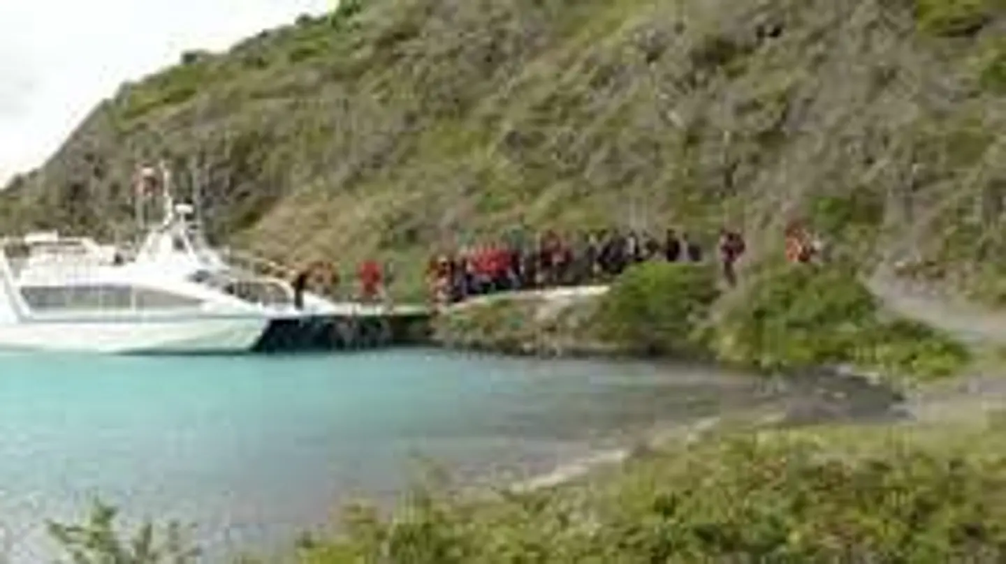 Traslados a catamaran Pudeto 1