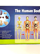 Set cuerpo humano armable - Miniatura 2