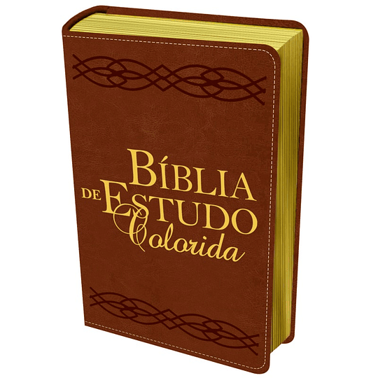 Bíblia de estudo colorida letra grande, capa castanha