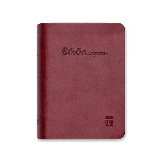 Bíblia Sagrada DN 24
