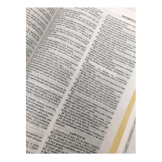 BÍBLIA ACF - CAPA FLORES