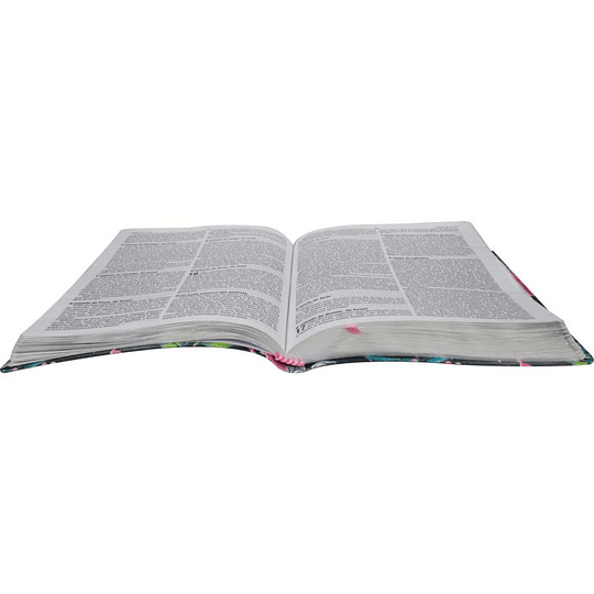 Bíblia Sagrada - Slim Colorida