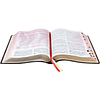 Bíblia do pregador pentecostal