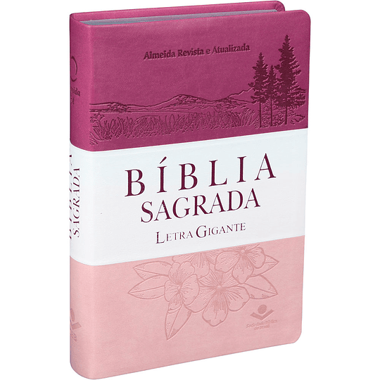 Bíblia Sagrada com letra gigante Capa tricolor, beiras prateadas e índice digital