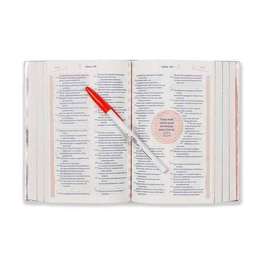 Bíblia Tás com Deus