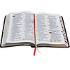 Bíblia Sagrada Letra Gigante com letras vermelhas