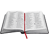 Bíblia Sagrada com letra gigante