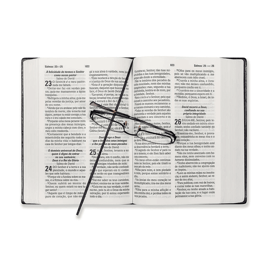Bíblia Sagrada com letra grande