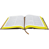 BÍBLIA ARTE – CAPA SACRIFÍCIO (NA63)