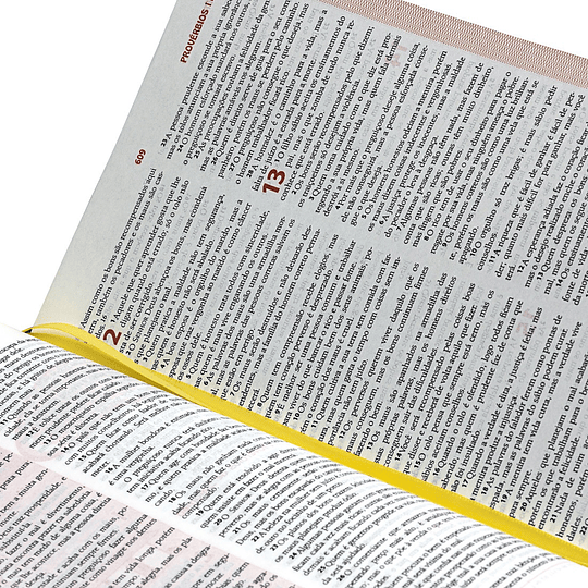 Bíblia das descobertas Descubra e pratique a Palavra de Deus