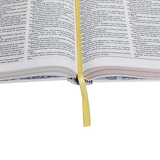 Bíblia das descobertas Descubra e pratique a Palavra de Deus